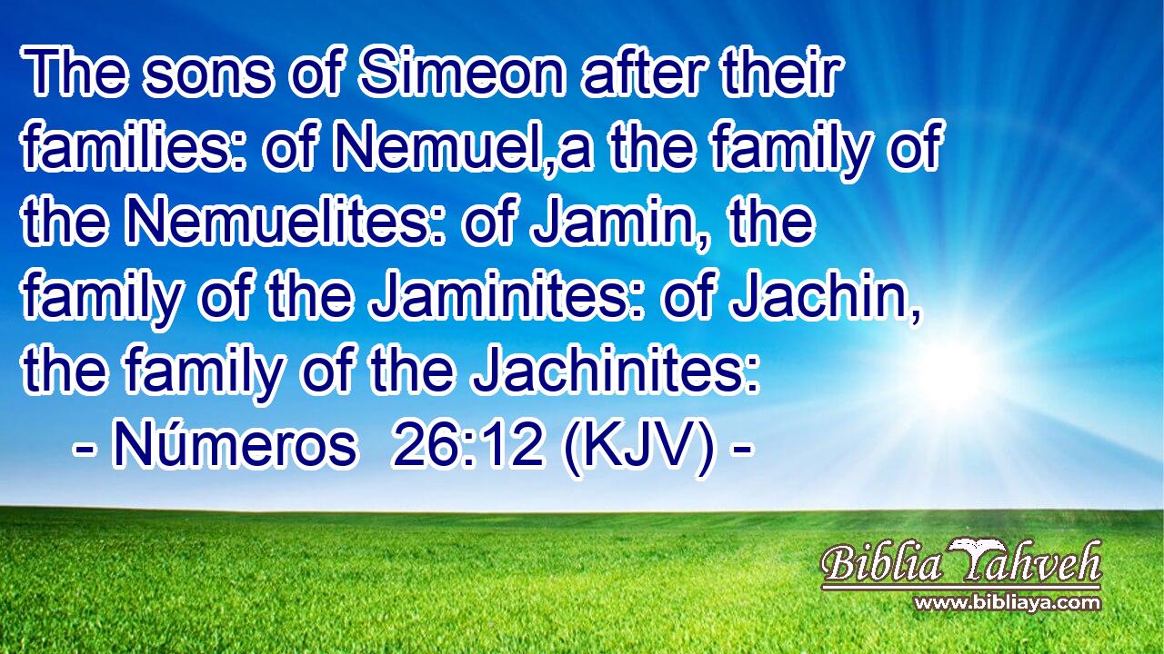 The sons of Simeon after their families: of Nemuel,a the family of the Nemuelites: of Jamin, the family of the Jaminites: of Jachin, the family of the Jachinites: