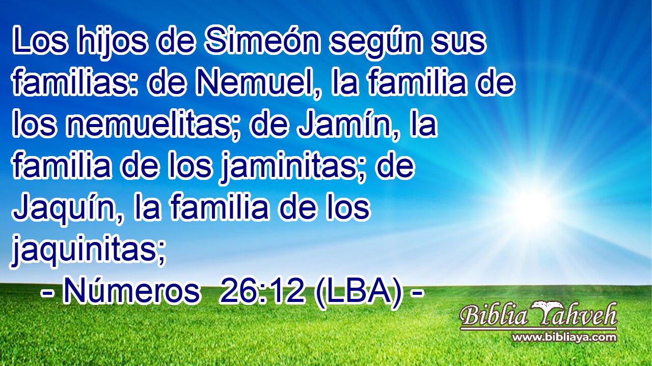 Los hijos de Simeón según sus familias: de Nemuel, la familia de los nemuelitas; de Jamín, la familia de los jaminitas; de Jaquín, la familia de los jaquinitas;