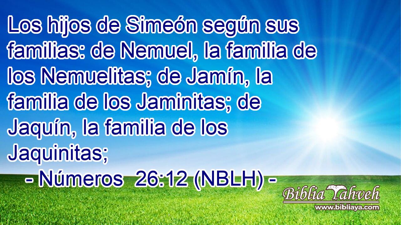  Los hijos de Simeón según sus familias: de Nemuel, la familia de los Nemuelitas; de Jamín, la familia de los Jaminitas; de Jaquín, la familia de los Jaquinitas; 