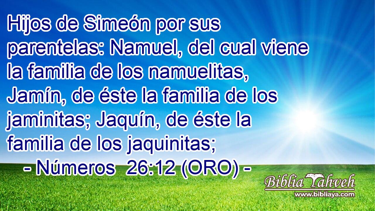  Hijos de Simeón por sus parentelas: Namuel, del cual viene la familia de los namuelitas, Jamín, de éste la familia de los jaminitas; Jaquín, de éste la familia de los jaquinitas; 