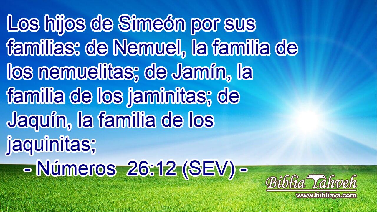 Los hijos de Simeón por sus familias: de Nemuel, la familia de los nemuelitas; de Jamín, la familia de los jaminitas; de Jaquín, la familia de los jaquinitas;