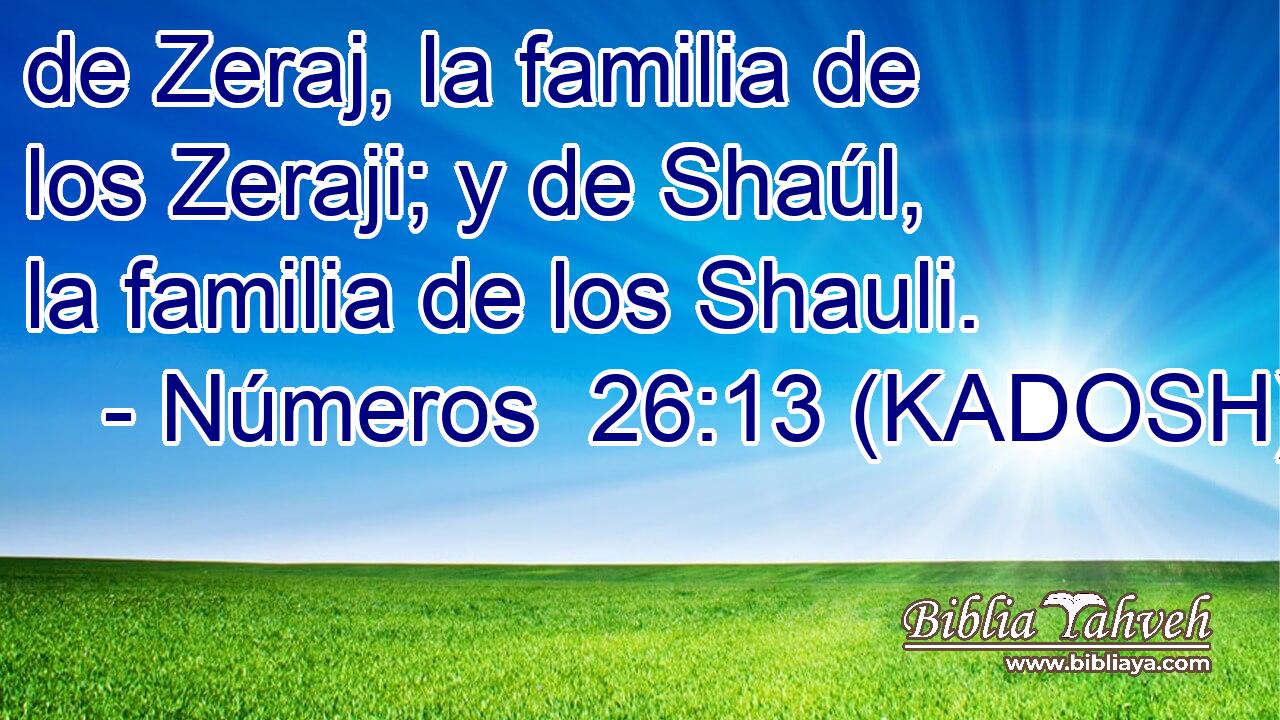  de Zeraj, la familia de los Zeraji; y de Shaúl, la familia de los Shauli. 