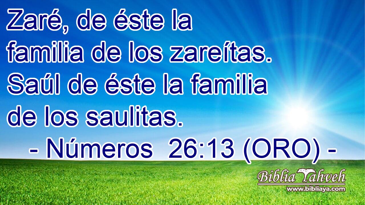  Zaré, de éste la familia de los zareítas. Saúl de éste la familia de los saulitas. 