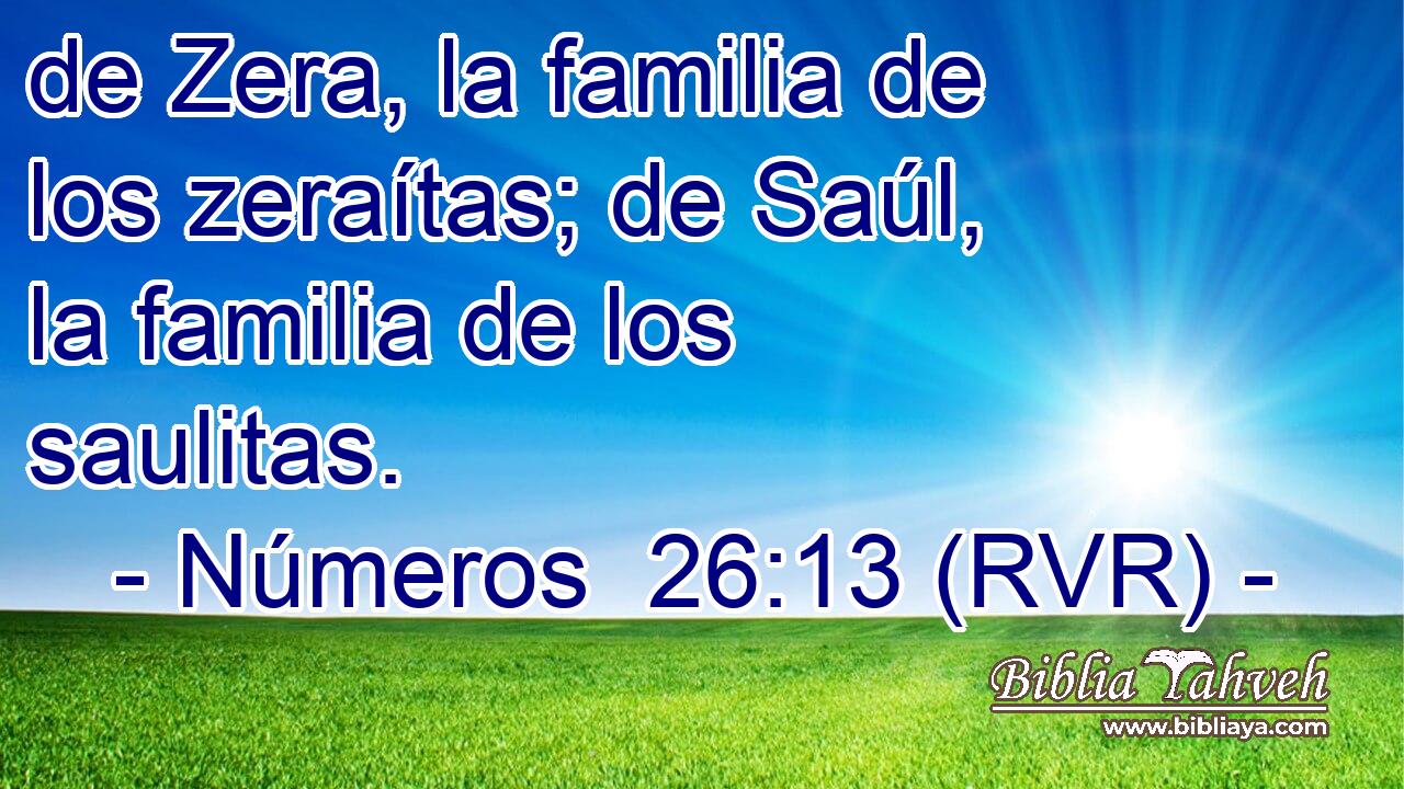de Zera, la familia de los zeraítas; de Saúl, la familia de los saulitas.