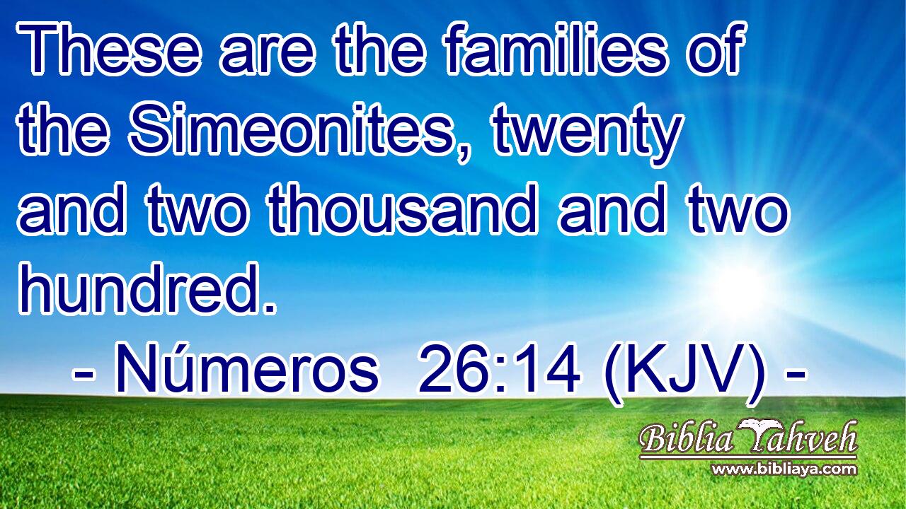 These are the families of the Simeonites, twenty and two thousand and two hundred.