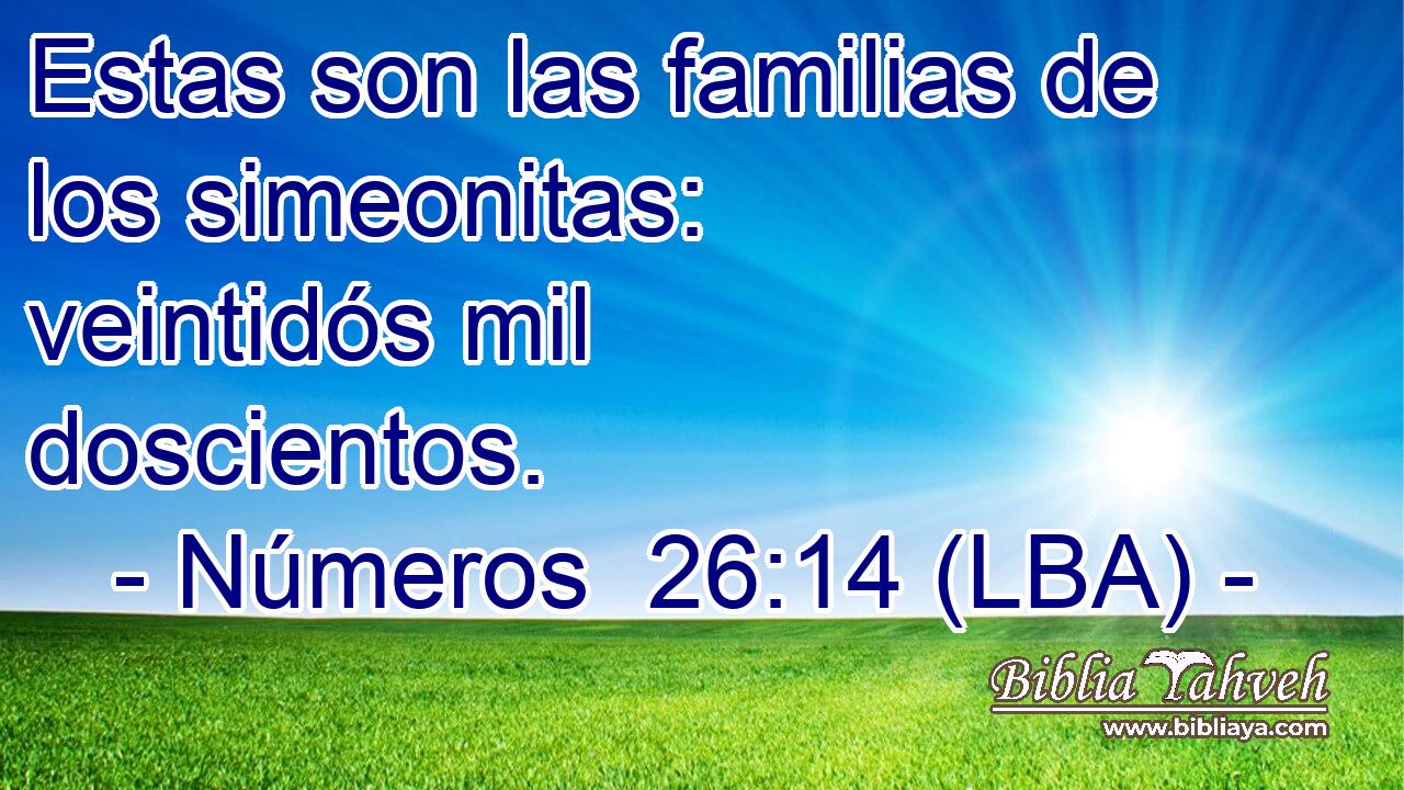 Estas son las familias de los simeonitas: veintidós mil doscientos.