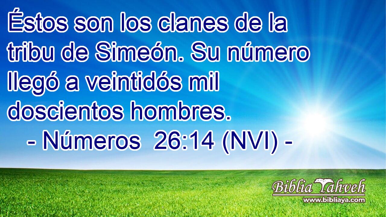  Éstos son los clanes de la tribu de Simeón. Su número llegó a veintidós mil doscientos hombres. 