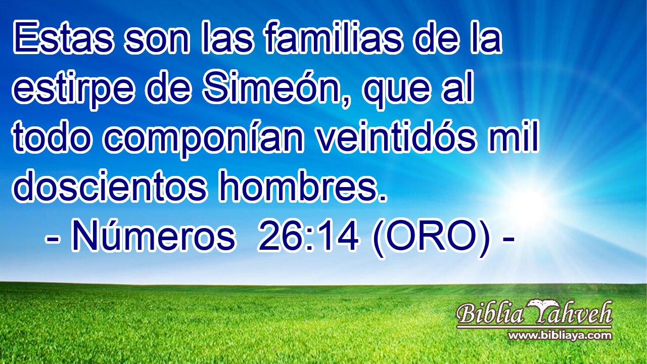  Estas son las familias de la estirpe de Simeón, que al todo componían veintidós mil doscientos hombres. 