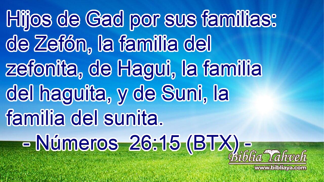 Hijos de Gad por sus familias: de Zefón, la familia del zefonita, de Hagui, la familia del haguita, y de Suni, la familia del sunita.