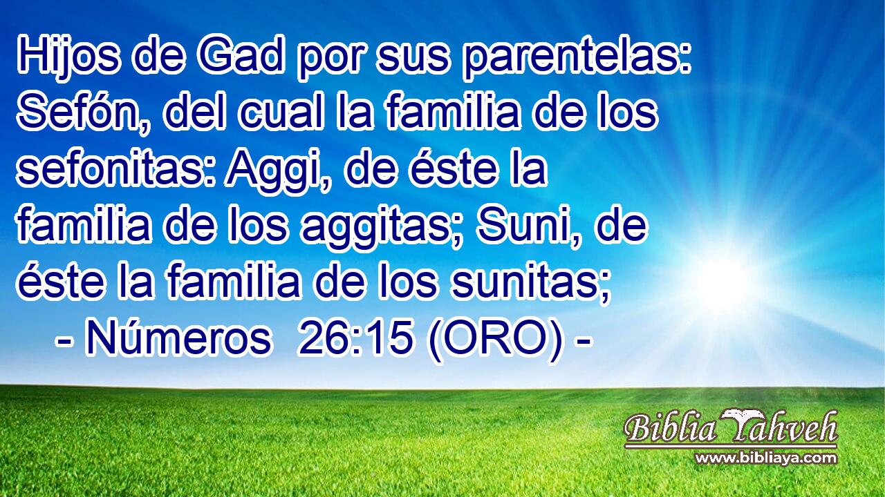  Hijos de Gad por sus parentelas: Sefón, del cual la familia de los sefonitas: Aggi, de éste la familia de los aggitas; Suni, de éste la familia de los sunitas; 