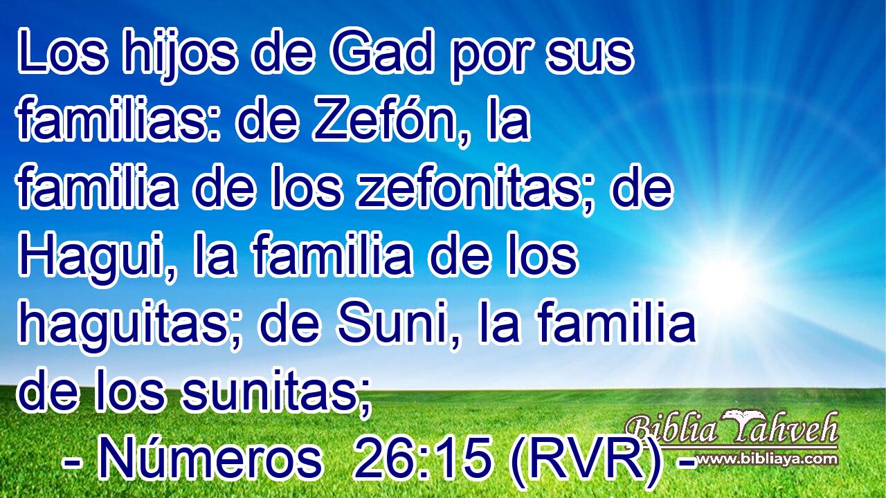Los hijos de Gad por sus familias: de Zefón, la familia de los zefonitas; de Hagui, la familia de los haguitas; de Suni, la familia de los sunitas;