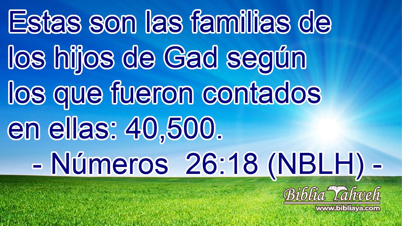  Estas son las familias de los hijos de Gad según los que fueron contados en ellas: 40,500. 