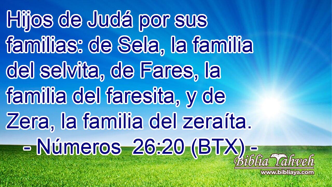 Hijos de Judá por sus familias: de Sela, la familia del selvita, de Fares, la familia del faresita, y de Zera, la familia del zeraíta.