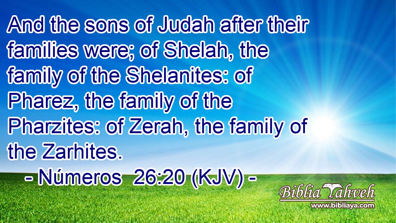 And the sons of Judah after their families were; of Shelah, the family of the Shelanites: of Pharez, the family of the Pharzites: of Zerah, the family of the Zarhites.