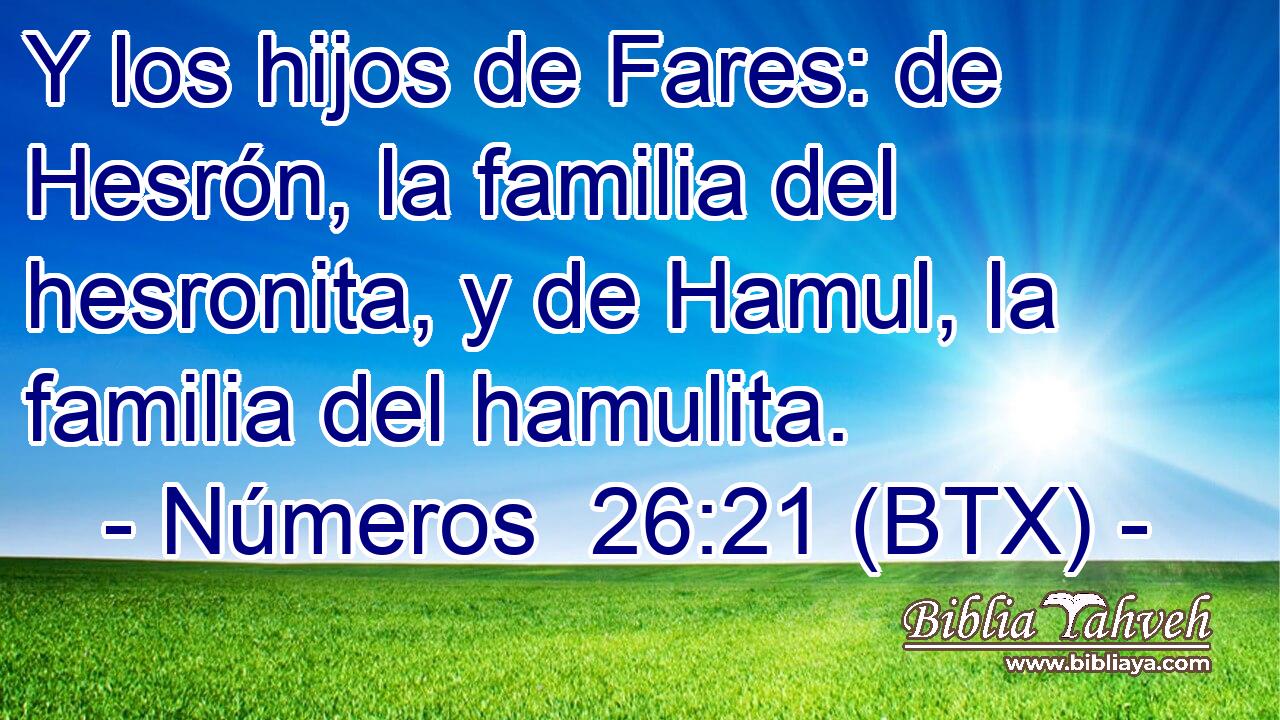 Y los hijos de Fares: de Hesrón, la familia del hesronita, y de Hamul, la familia del hamulita.