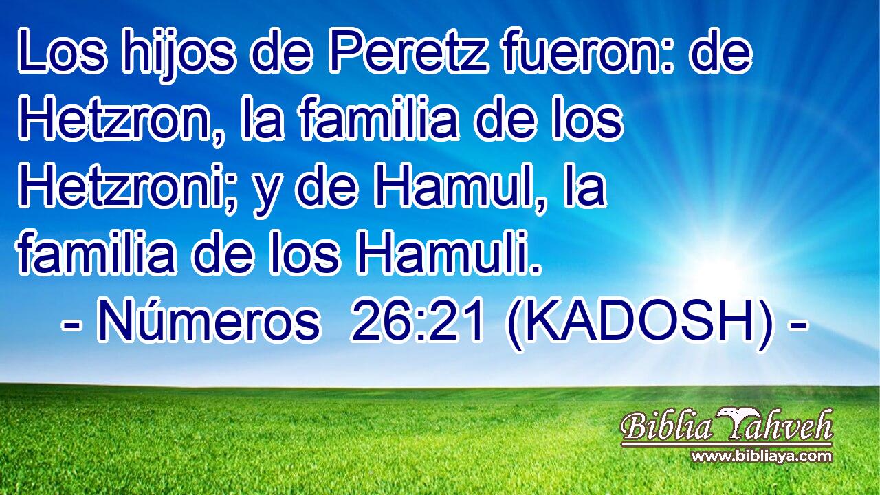  Los hijos de Peretz fueron: de Hetzron, la familia de los Hetzroni; y de Hamul, la familia de los Hamuli. 