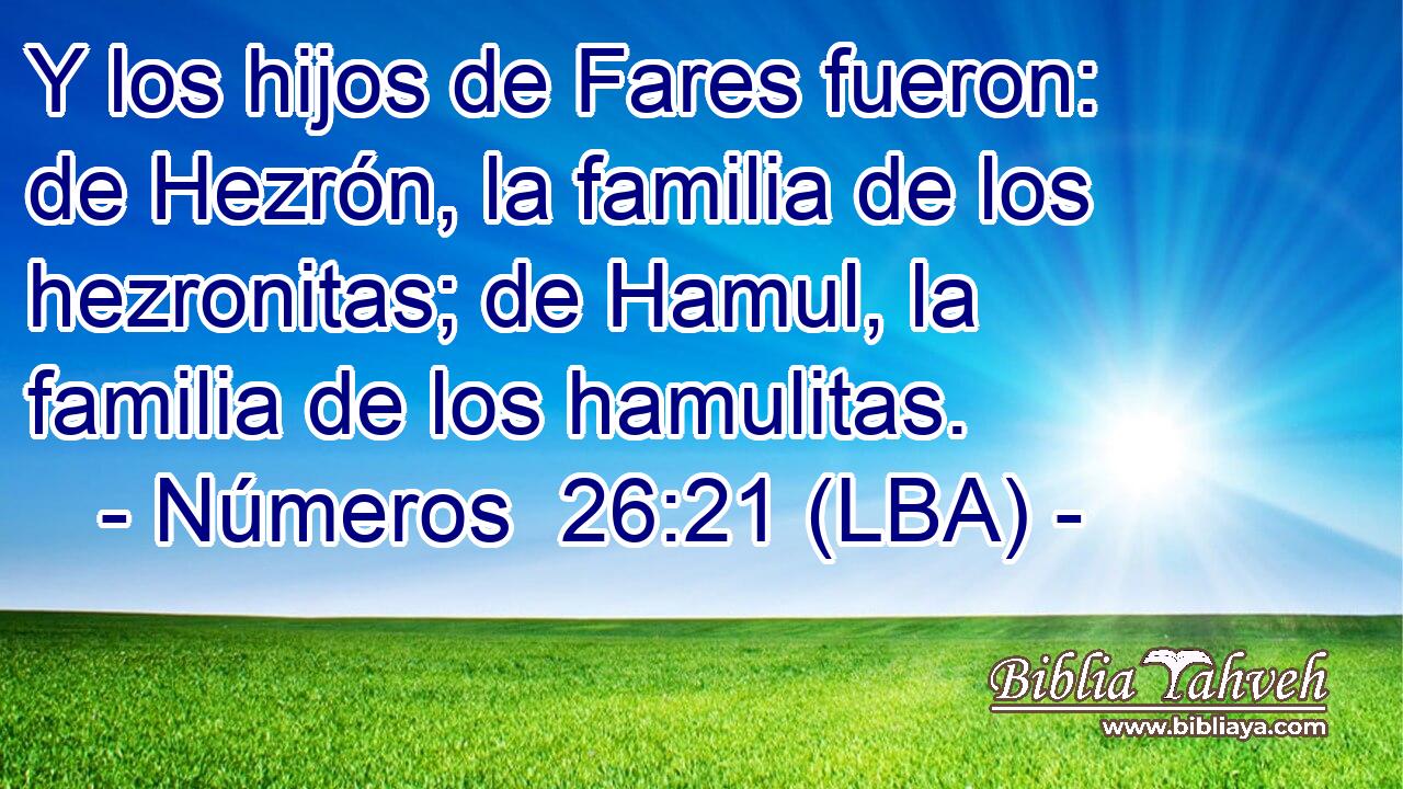 Y los hijos de Fares fueron: de Hezrón, la familia de los hezronitas; de Hamul, la familia de los hamulitas.