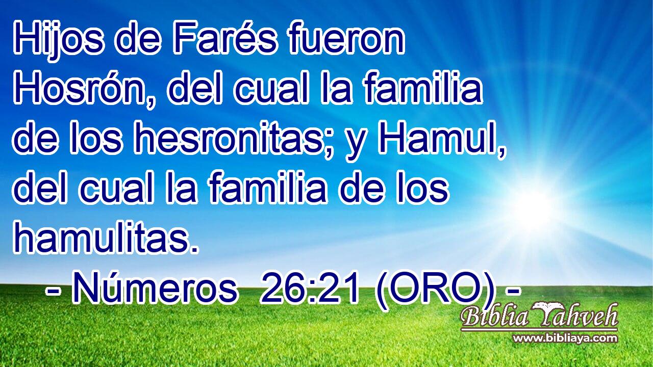  Hijos de Farés fueron Hosrón, del cual la familia de los hesronitas; y Hamul, del cual la familia de los hamulitas. 