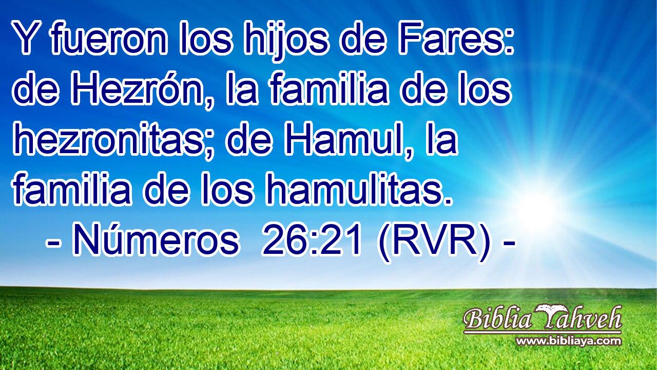 Y fueron los hijos de Fares: de Hezrón, la familia de los hezronitas; de Hamul, la familia de los hamulitas.