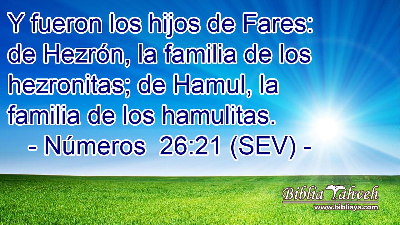 Y fueron los hijos de Fares: de Hezrón, la familia de los hezronitas; de Hamul, la familia de los hamulitas.