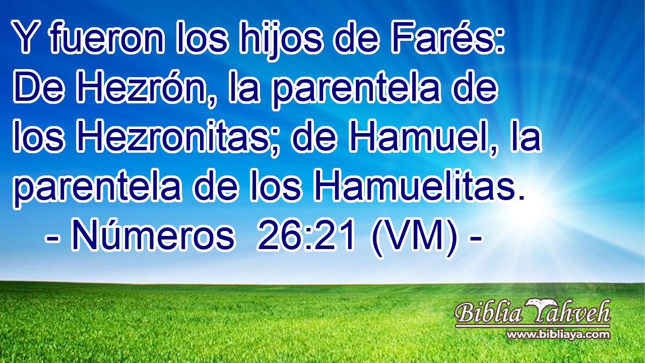  Y fueron los hijos de Farés: De Hezrón, la parentela de los Hezronitas; de Hamuel, la parentela de los Hamuelitas. 