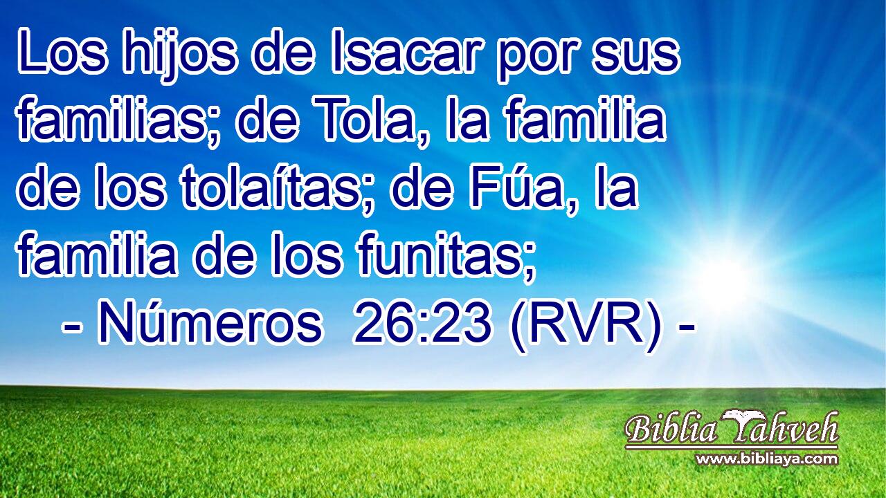 Los hijos de Isacar por sus familias; de Tola, la familia de los tolaítas; de Fúa, la familia de los funitas;