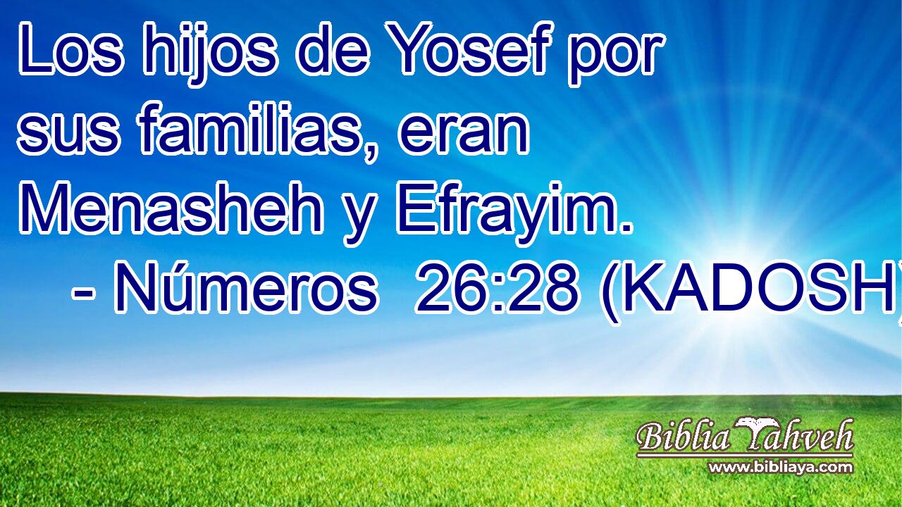  Los hijos de Yosef por sus familias, eran Menasheh y Efrayim. 
