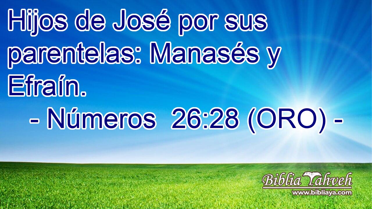  Hijos de José por sus parentelas: Manasés y Efraín. 