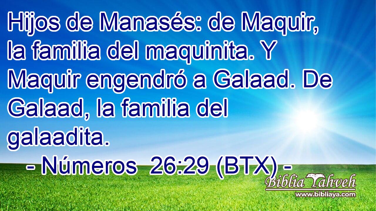 Hijos de Manasés: de Maquir, la familia del maquinita. Y Maquir engendró a Galaad. De Galaad, la familia del galaadita.