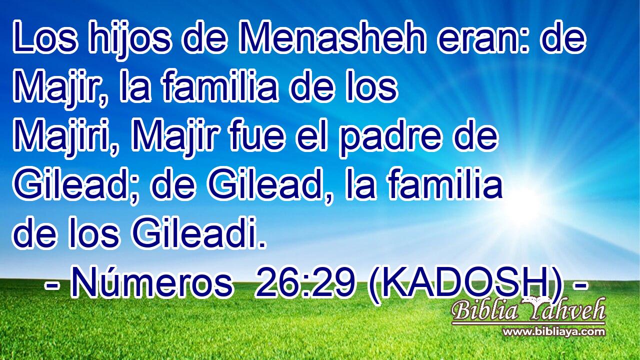  Los hijos de Menasheh eran: de Majir, la familia de los Majiri, Majir fue el padre de Gilead; de Gilead, la familia de los Gileadi. 