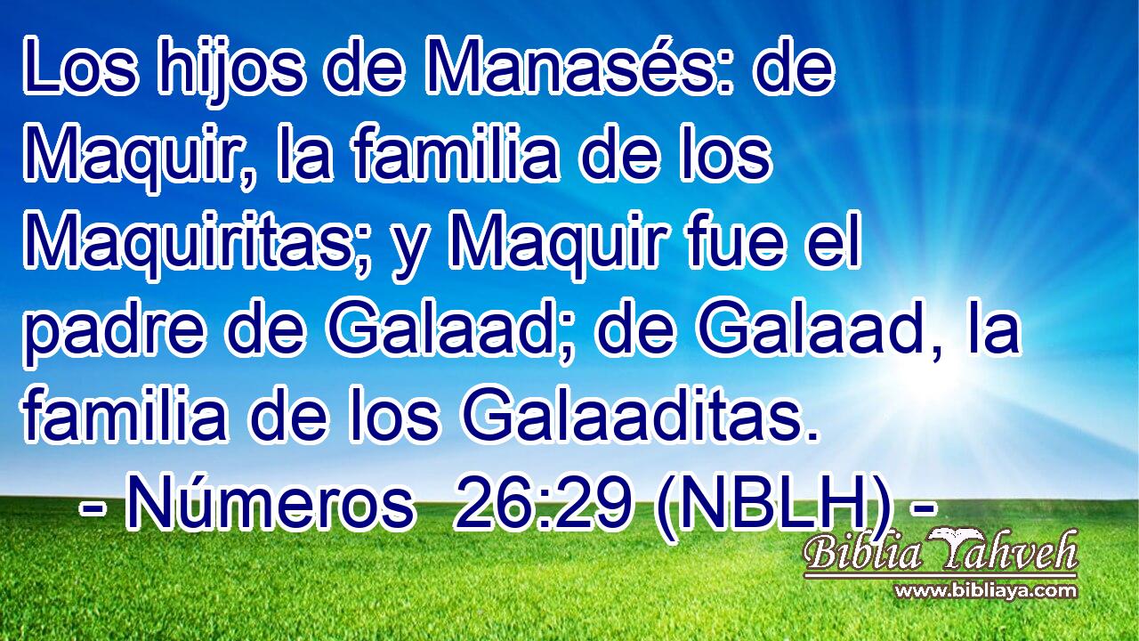  Los hijos de Manasés: de Maquir, la familia de los Maquiritas; y Maquir fue el padre de Galaad; de Galaad, la familia de los Galaaditas. 