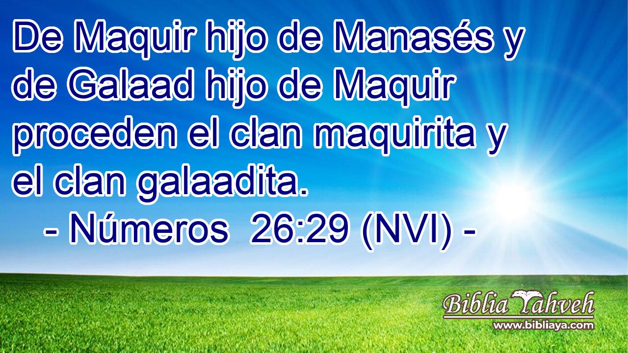 De Maquir hijo de Manasés y de Galaad hijo de Maquir proceden el clan maquirita y el clan galaadita. 