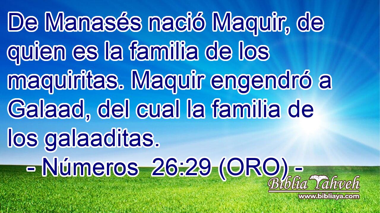  De Manasés nació Maquir, de quien es la familia de los maquiritas. Maquir engendró a Galaad, del cual la familia de los galaaditas. 