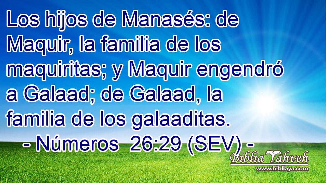 Los hijos de Manasés: de Maquir, la familia de los maquiritas; y Maquir engendró a Galaad; de Galaad, la familia de los galaaditas.