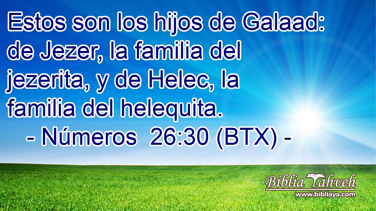Estos son los hijos de Galaad: de Jezer, la familia del jezerita, y de Helec, la familia del helequita.