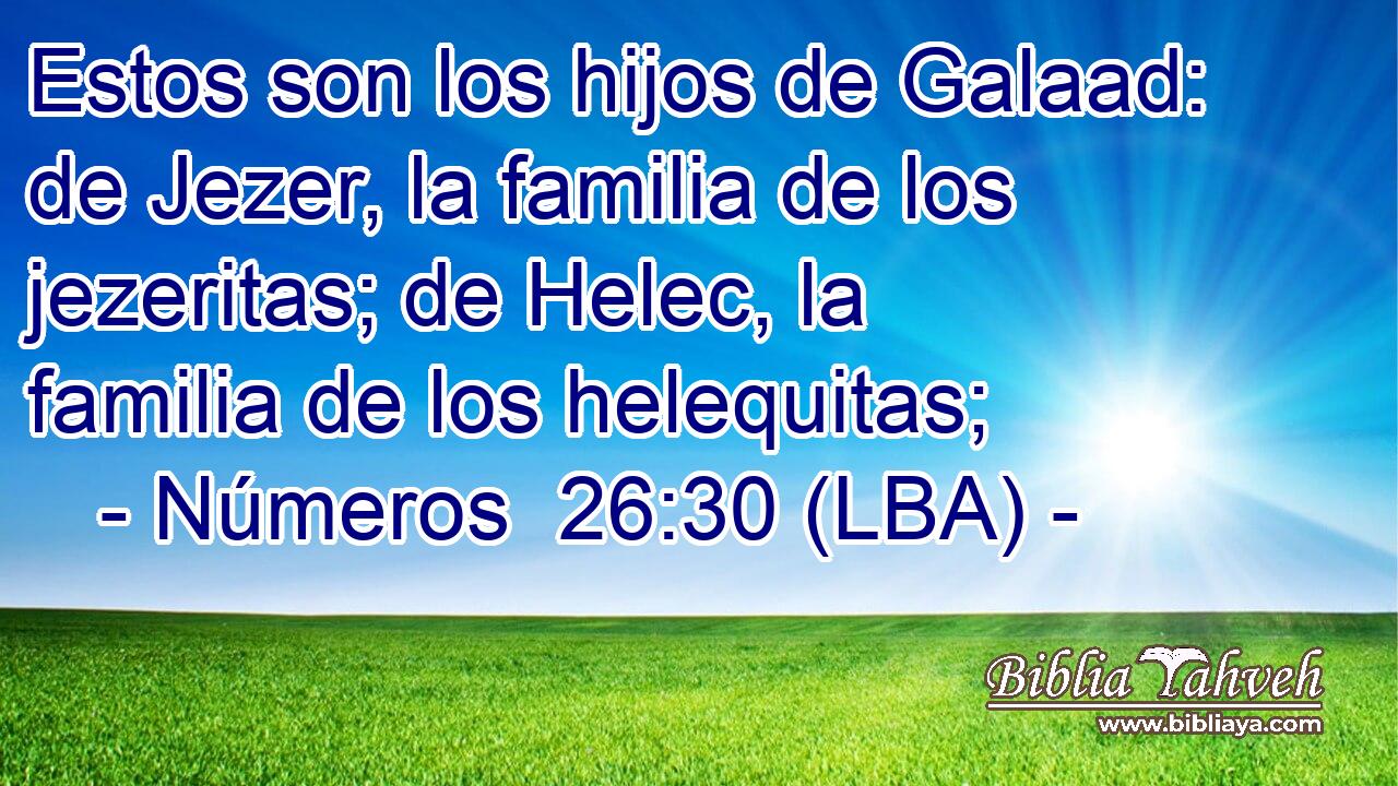 Estos son los hijos de Galaad: de Jezer, la familia de los jezeritas; de Helec, la familia de los helequitas;