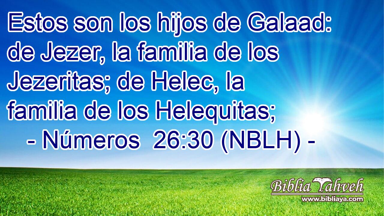  Estos son los hijos de Galaad: de Jezer, la familia de los Jezeritas; de Helec, la familia de los Helequitas; 
