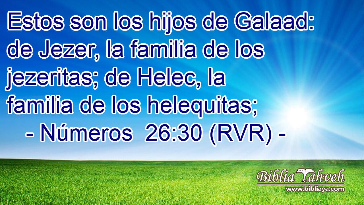 Estos son los hijos de Galaad: de Jezer, la familia de los jezeritas; de Helec, la familia de los helequitas;