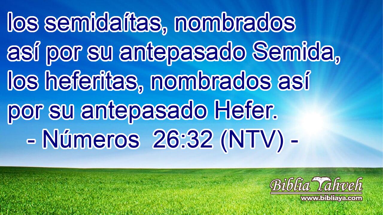 los semidaítas, nombrados así por su antepasado Semida, los heferitas, nombrados así por su antepasado Hefer.