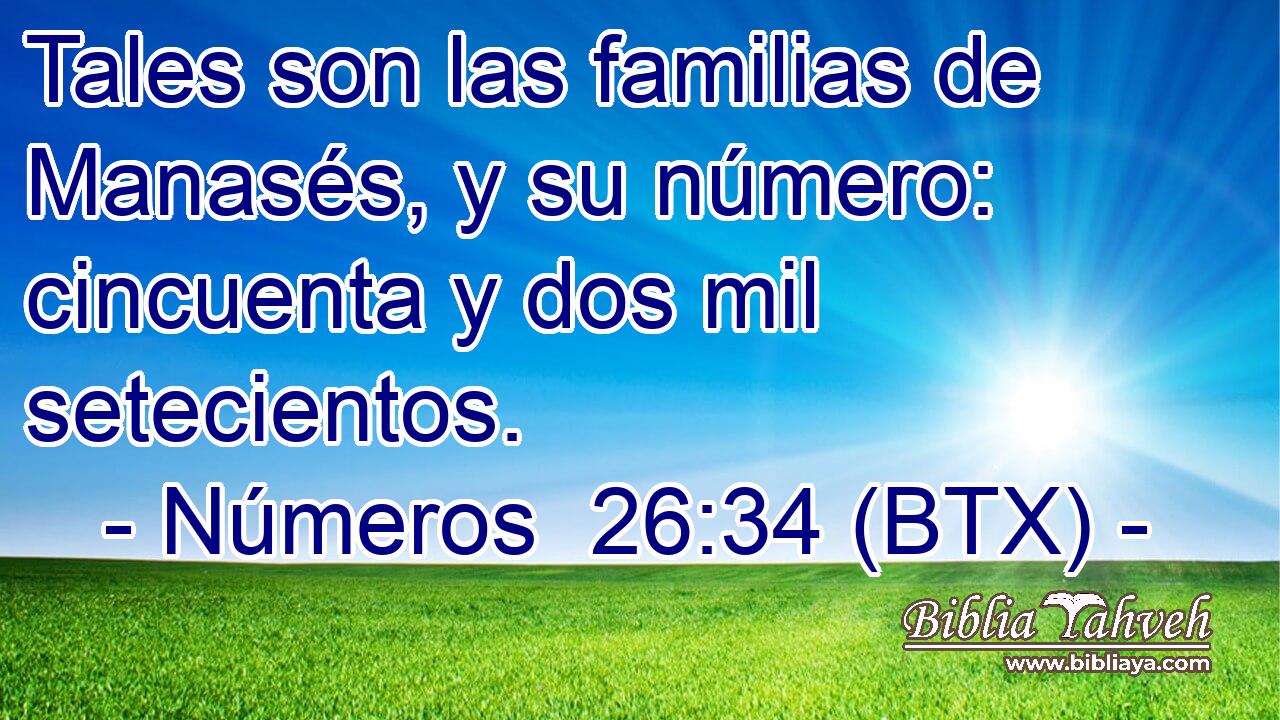 Tales son las familias de Manasés, y su número: cincuenta y dos mil setecientos.
