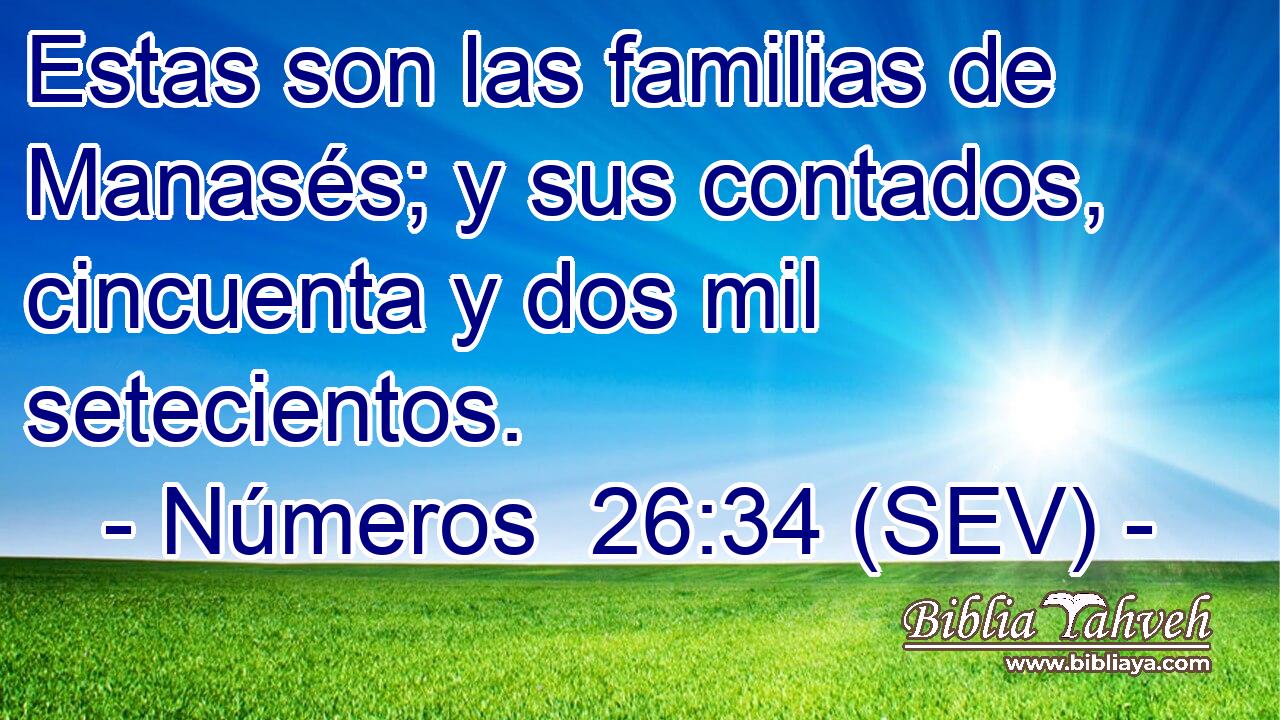 Estas son las familias de Manasés; y sus contados, cincuenta y dos mil setecientos.