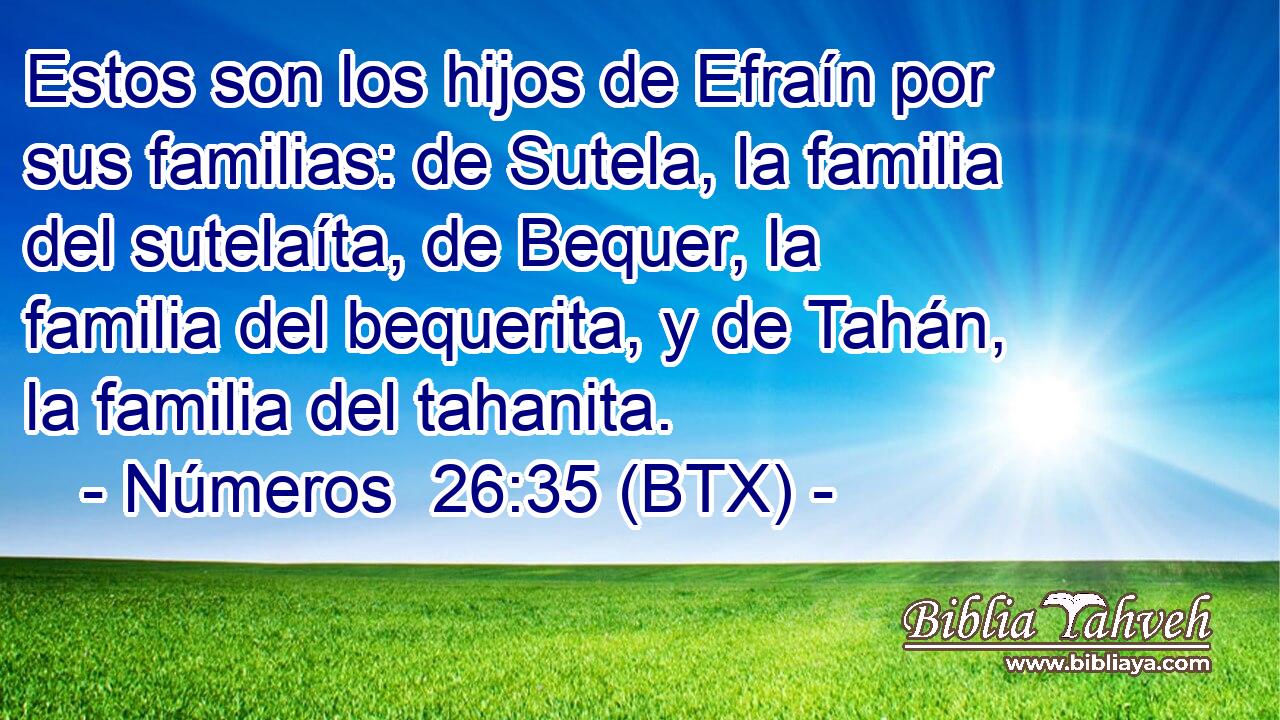 Estos son los hijos de Efraín por sus familias: de Sutela, la familia del sutelaíta, de Bequer, la familia del bequerita, y de Tahán, la familia del tahanita.