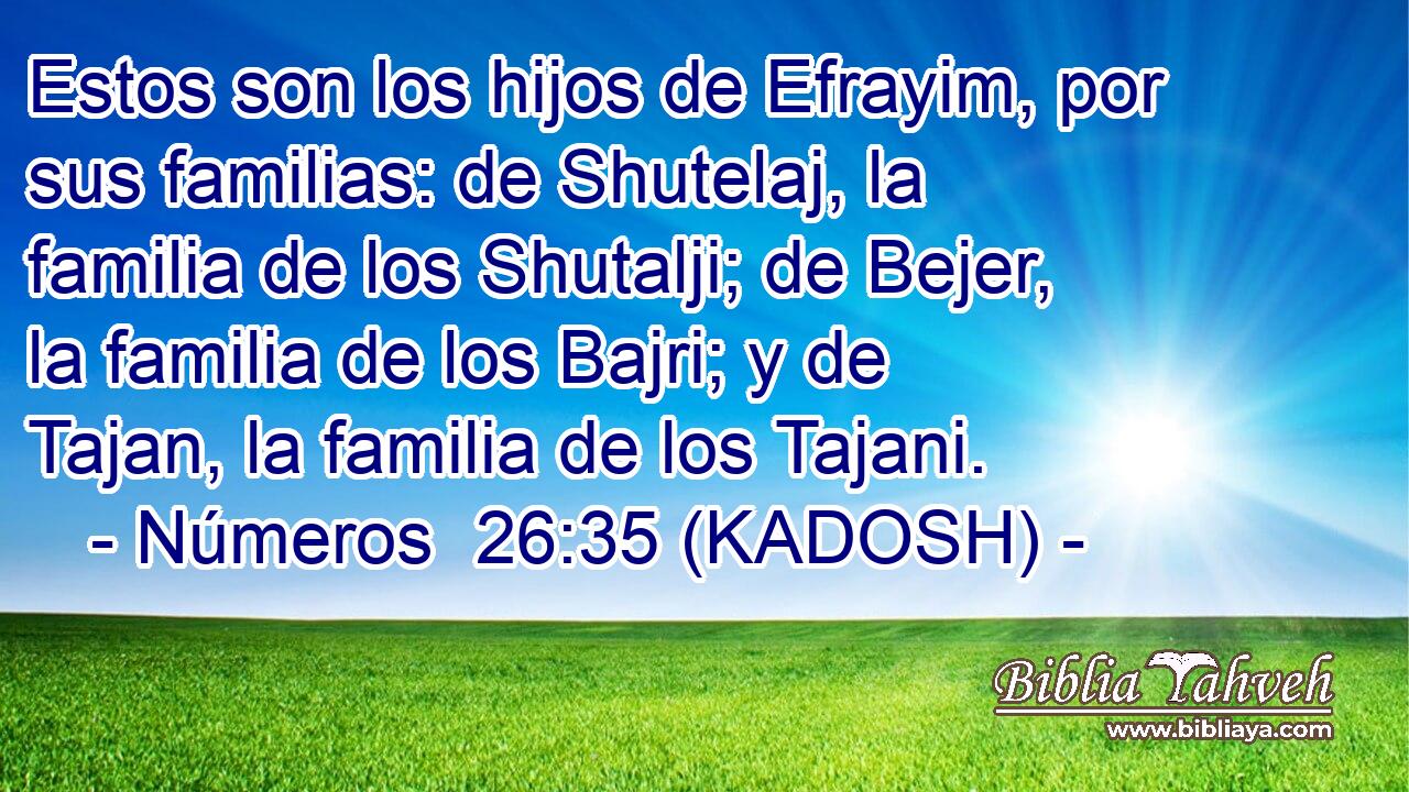  Estos son los hijos de Efrayim, por sus familias: de Shutelaj, la familia de los Shutalji; de Bejer, la familia de los Bajri; y de Tajan, la familia de los Tajani. 