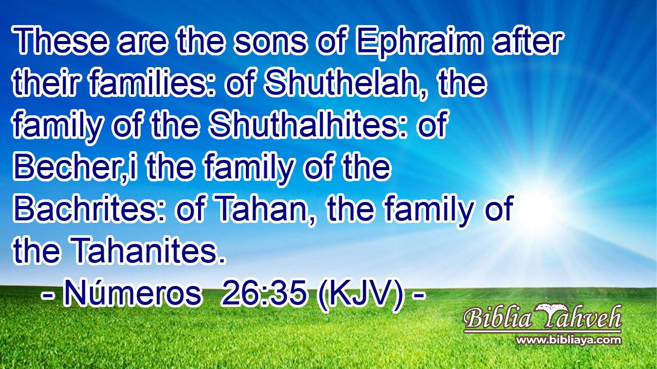 These are the sons of Ephraim after their families: of Shuthelah, the family of the Shuthalhites: of Becher,i the family of the Bachrites: of Tahan, the family of the Tahanites.