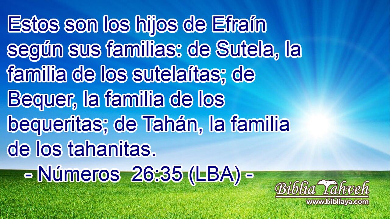 Estos son los hijos de Efraín según sus familias: de Sutela, la familia de los sutelaítas; de Bequer, la familia de los bequeritas; de Tahán, la familia de los tahanitas.