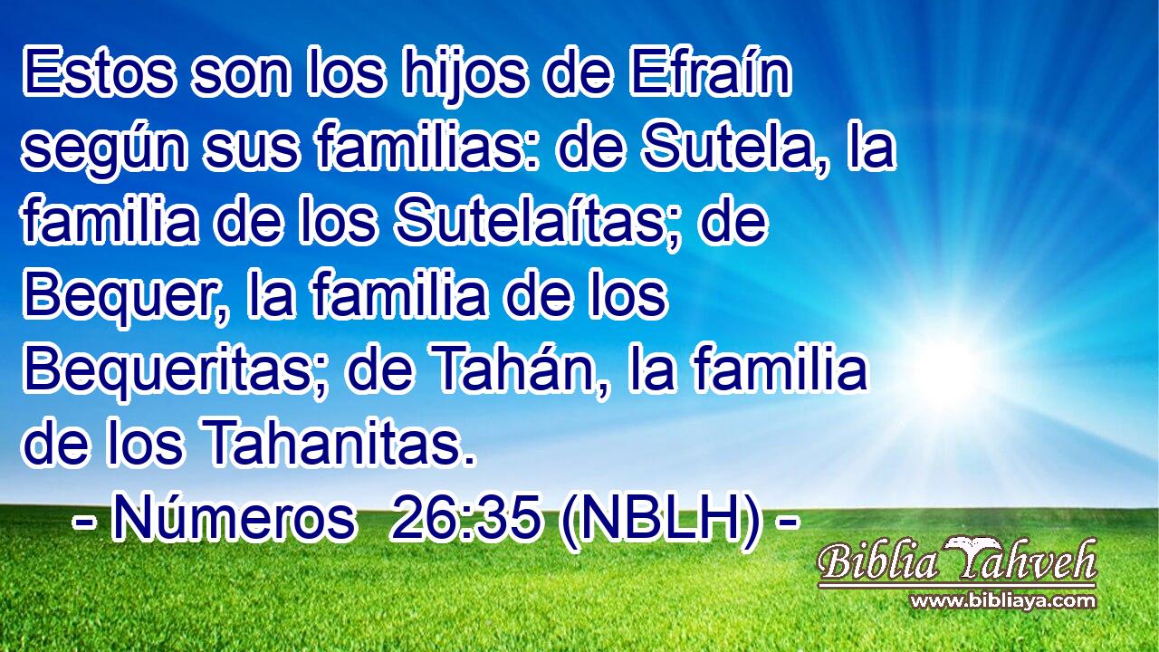  Estos son los hijos de Efraín según sus familias: de Sutela, la familia de los Sutelaítas; de Bequer, la familia de los Bequeritas; de Tahán, la familia de los Tahanitas. 