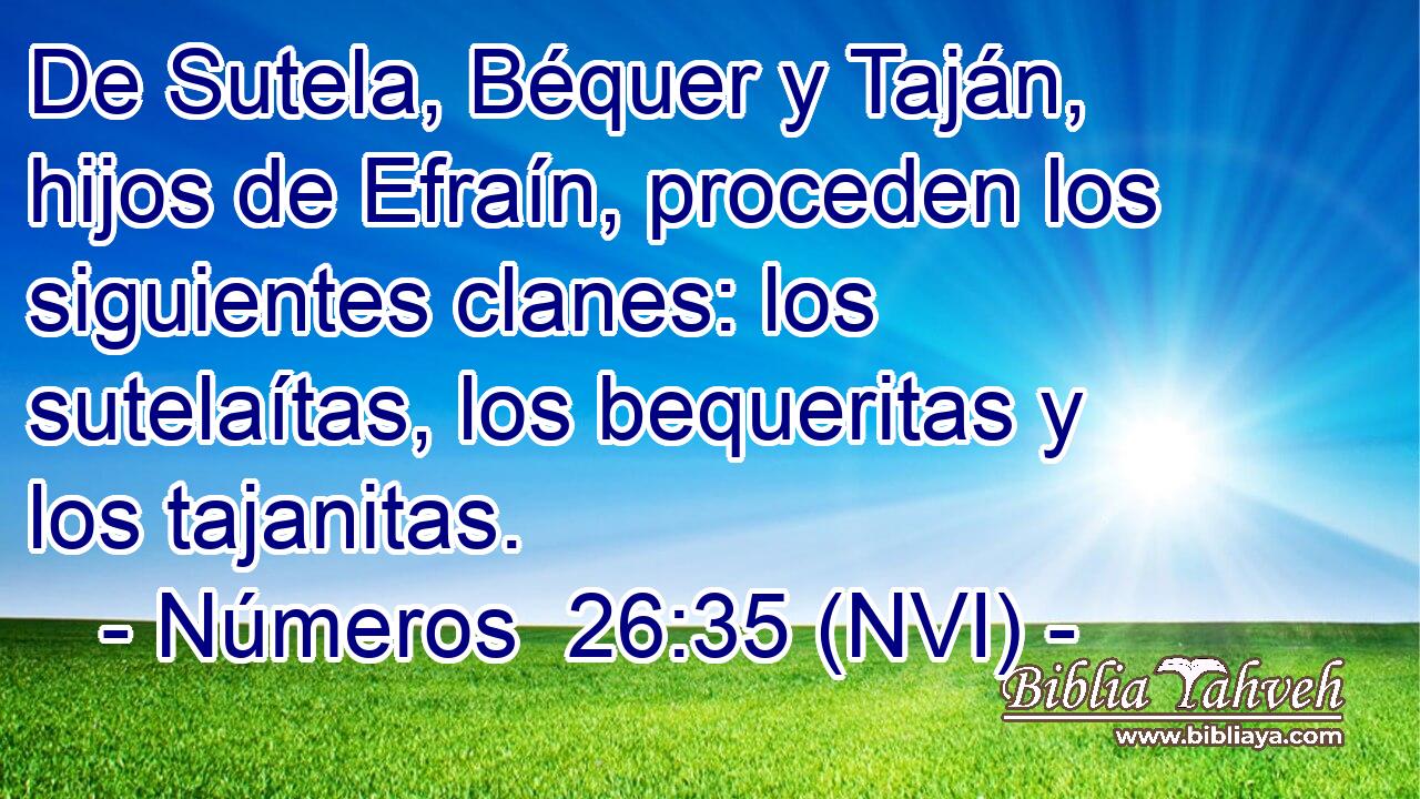  De Sutela, Béquer y Taján, hijos de Efraín, proceden los siguientes clanes: los sutelaítas, los bequeritas y los tajanitas. 