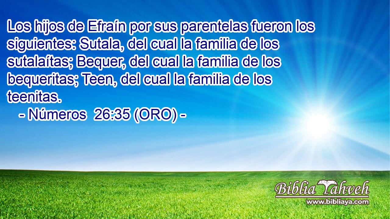  Los hijos de Efraín por sus parentelas fueron los siguientes: Sutala, del cual la familia de los sutalaítas; Bequer, del cual la familia de los bequeritas; Teen, del cual la familia de los teenitas. 