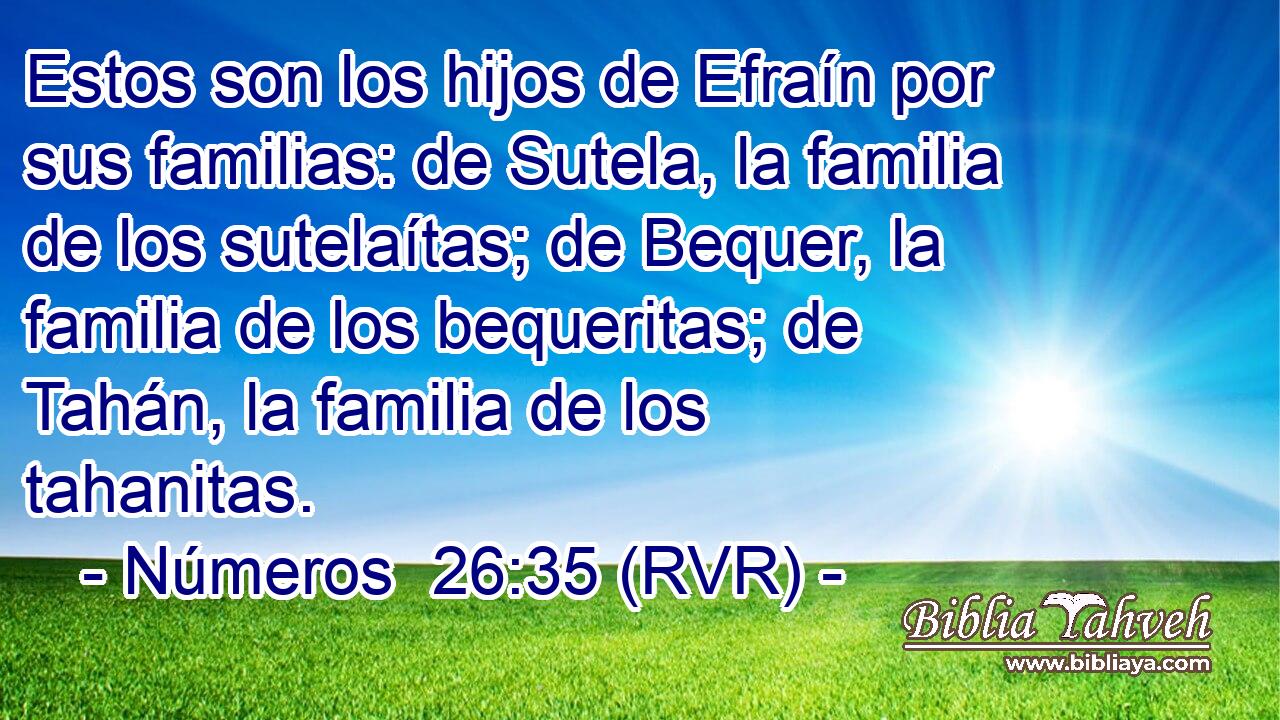 Estos son los hijos de Efraín por sus familias: de Sutela, la familia de los sutelaítas; de Bequer, la familia de los bequeritas; de Tahán, la familia de los tahanitas.