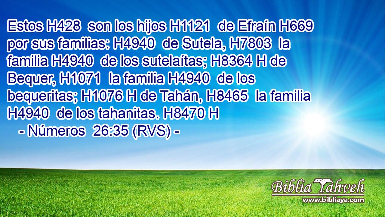 Estos H428  son los hijos H1121  de Efraín H669  por sus familias: H4940  de Sutela, H7803  la familia H4940  de los sutelaítas; H8364 H de Bequer, H1071  la familia H4940  de los bequeritas; H1076 H de Tahán, H8465  la familia H4940  de los tahanitas. H8470 H 